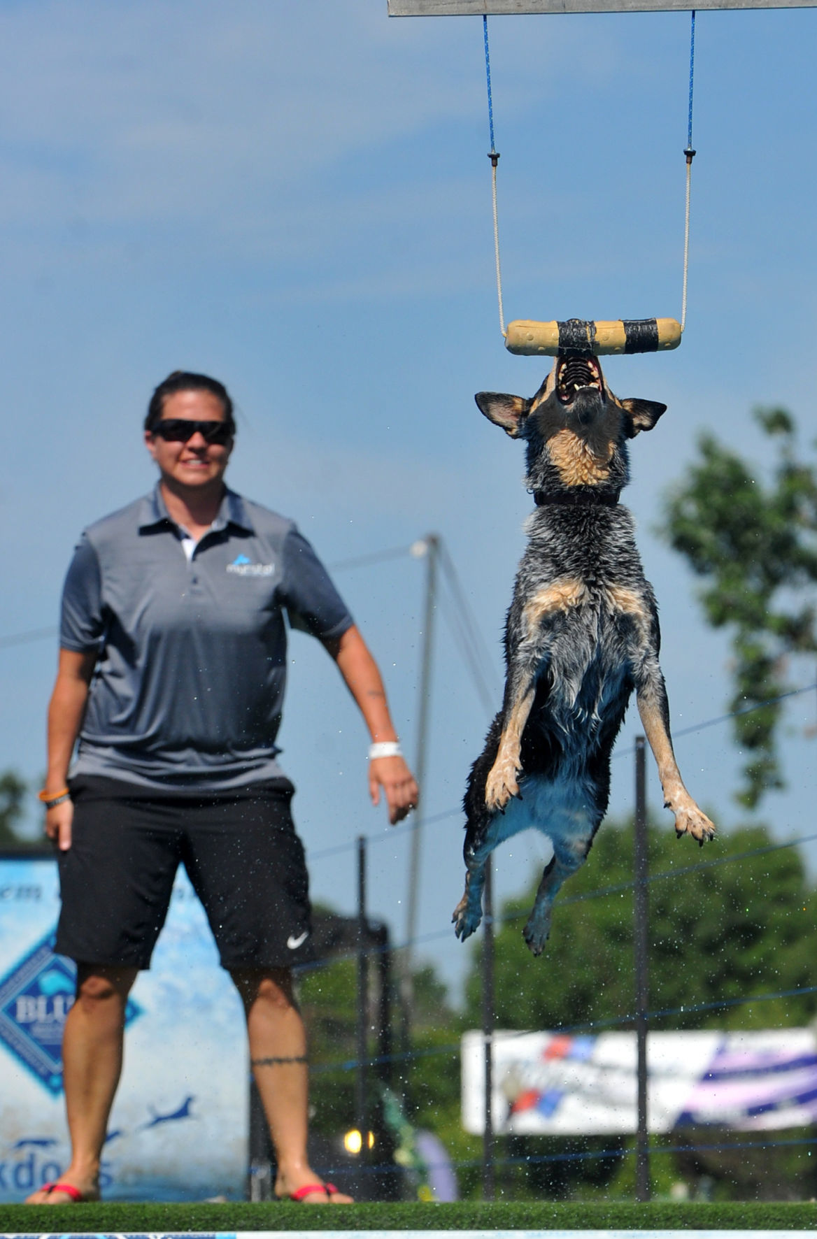 Day 5 of the Mississippi Valley Fair